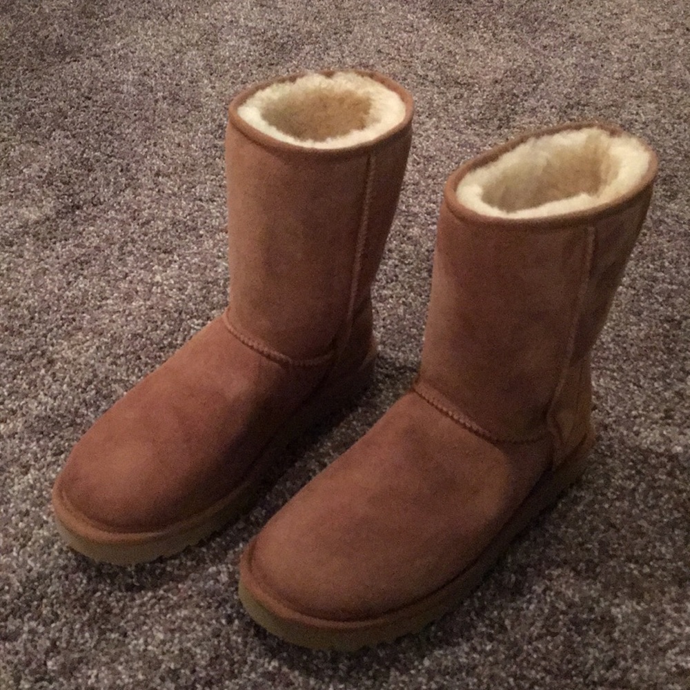 Short Chestnut Uggs